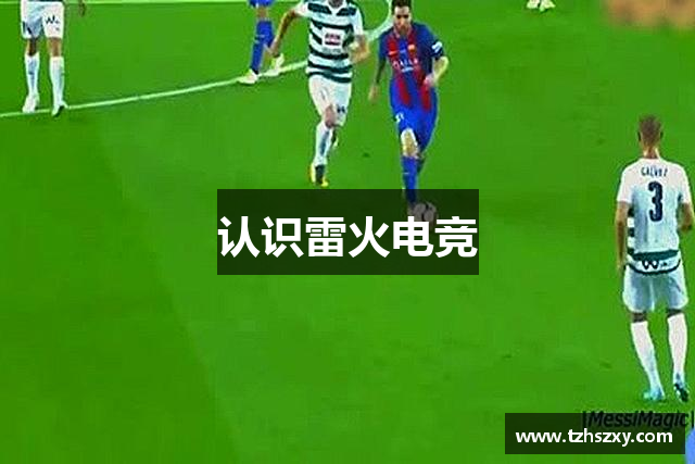 认识雷火电竞